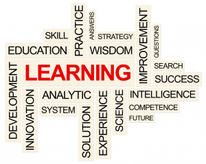 The 70:20:10 L&D Model for Developing a High-Performing Workforce