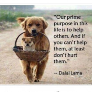 Dalai Lama quote. We need to take care of all our creatures especially ...
