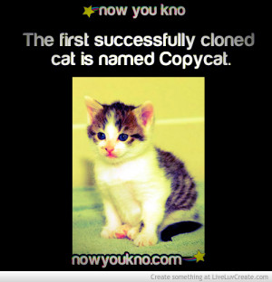 the_first_copycat-480904.jpg?i
