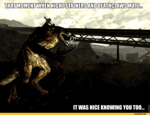 funny pictures,fallout,games,auto