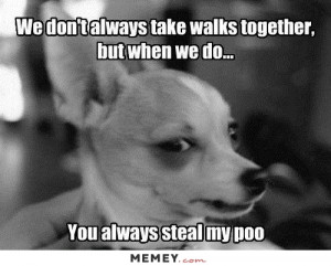 You Always Steal My Poo