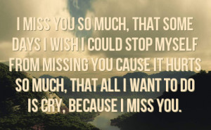 miss you so much it hurts quotes Miss You So Much