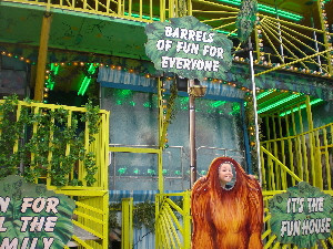 The Fun House - Jungle Theme