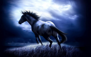 horse+wallpaper+Wild_horse_Windows_7_backgrounds.jpg