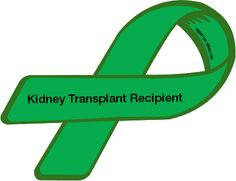 Kidney Transplant | Custom Ribbon: Kidney Transplant Recipient More