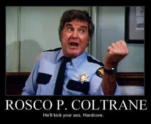 pack of roscoe p coltrane s without your local government knowing ...