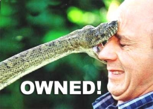 ://www.funnyjunksite.com/pictures/funny-animal-pictures/funny-snake ...
