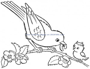 free printable bird coloring pages for preschool
