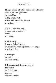 the moths | mary oliver | poem | poetry | More