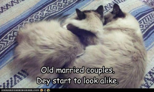 funny pictures of married couples