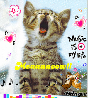 Funny Cats Singing
