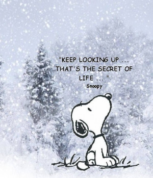 Snoopy Christmas Quotes. QuotesGram