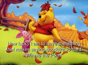 Poohwinnie The Pooh...