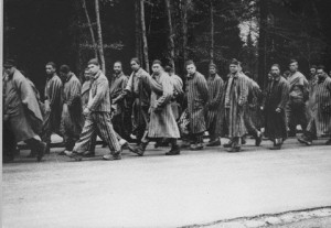 photo of prisoners from a concentration camp in Dachau marching ...