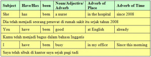 Present Perfect Tense Sentences
