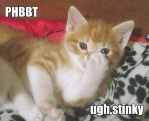 Funny Cat Fart Quotes Who farted ?