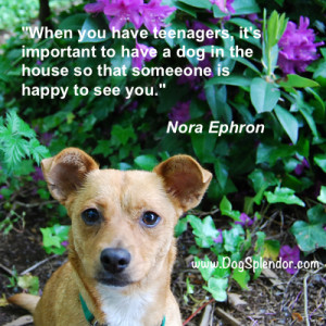 Quote by Nora Ephran