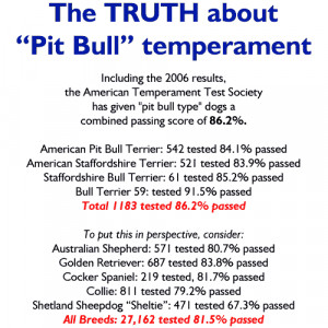 The TRUTH About Pit Bulls