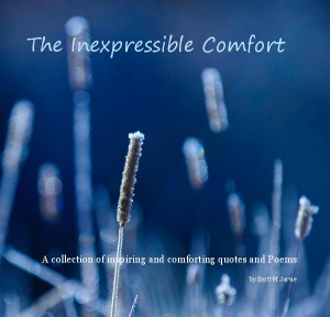 Click to preview The Inexpressible Comfort photo book
