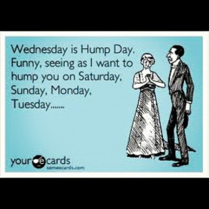 ... Hump #day #Wednesday #lol #hilarious #eCards #eCard #LMFAO #funny