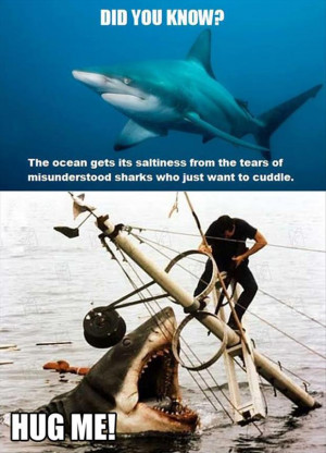 Hug a shark, save the ocean. More
