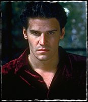 for more david pictures click here david boreanaz quotes angel