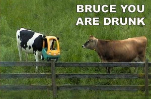 Dear cancer, I hate you and I thank you -->> http://www.lynneknowlton ...