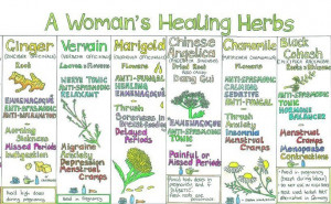 Woman's Healing Herbs