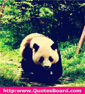 Inspirational Quotes at QuotesBoard