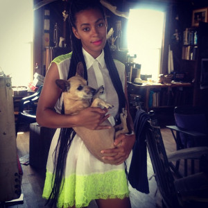 Solange-Instagram-Jessica-Hart -for-pencey-Standard- Neon -ace ...