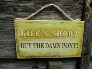 Life's Short Buy The Damn Pony!