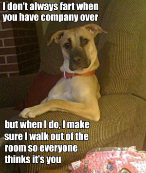 most interesting fart dog in theorld