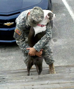 Video: Excited Dogs Welcoming Soldiers Home! – Man’s Best Friend ...