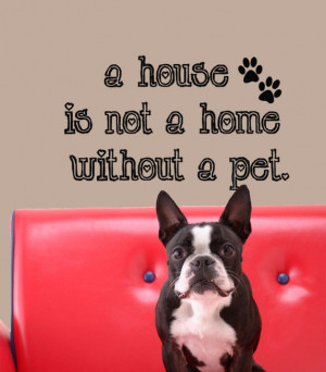 house is not a home without a pet. That's why we have so many ...