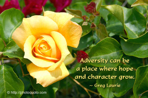 Adversity Can Be A Place Where Hope And Character Grow. - Greg Laurie