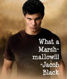 Jacob Black Quote Graphics | Jacob Black Quote Pictures | Jacob Black ...