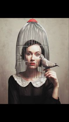 Freedom vs Confinement: Bronte uses birds to represent Jane's ...