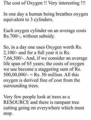 Trees sustain life. Let’s be aware. There is rampant tree cutting ...