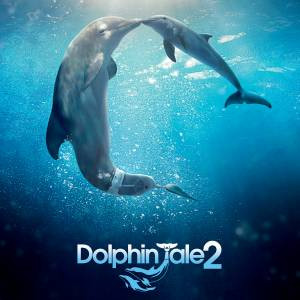 Related Pictures aquarium dolphins beluga whales wallpaper filesize