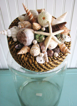 ... jar with sand and seashells! Make a decorative seashells lid