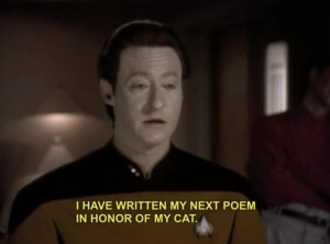 Popular TV Shows Quotes Captions