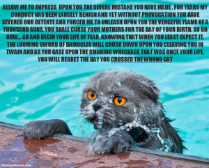 Funny Swimming Animals