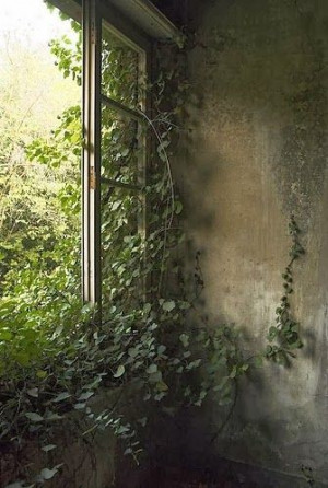 Quote about my garden from The Reckoning by Sharon Kay Penman