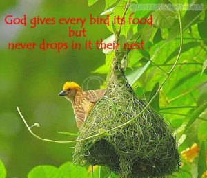 God Gives Every Bird Its Food But Never Drops In It Their Nest
