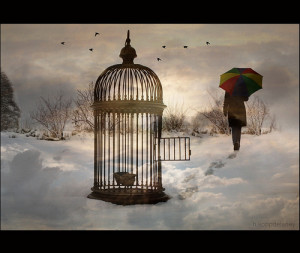 Walking out of the cage of condemnation