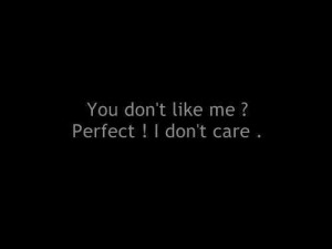 You don't like me? Perfect! I don't care.