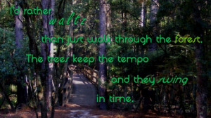 See Through Forest Trees Quotes. QuotesGram