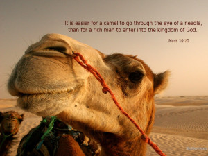 Your Money or Your Life — On Camels and Needles