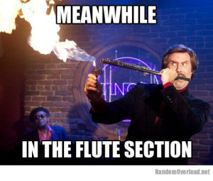 Flute section