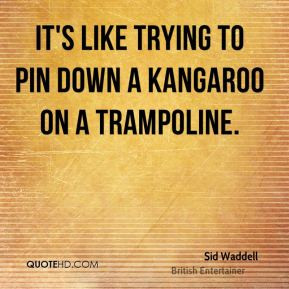 Sid Waddell - It's like trying to pin down a kangaroo on a trampoline.